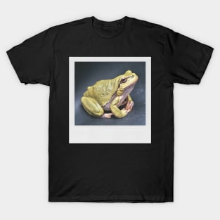 Meditating Frog Cute Photograph Peace & Love Picture T-Shirt